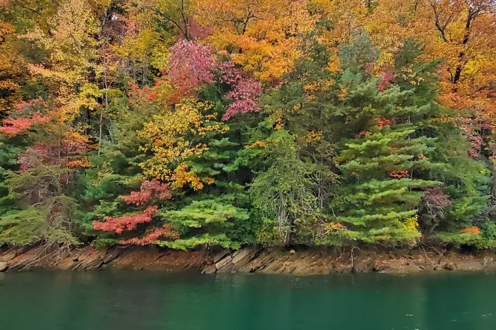 Autumn trees with colorful leaves beside a calm lake under a cloudy sky.