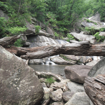 a close up of a large rock