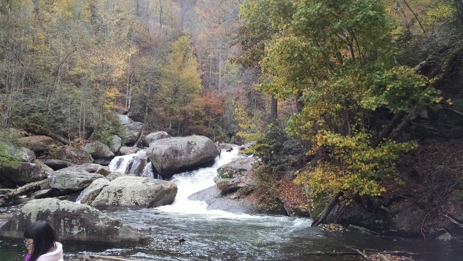 a large waterfall in a forest
