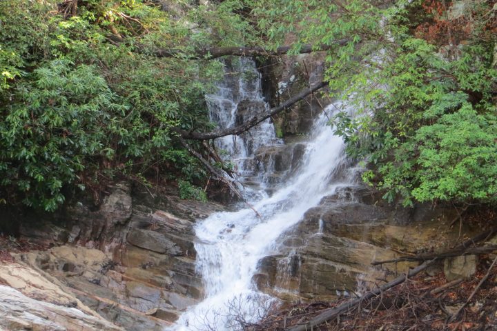 a waterfall in a forest