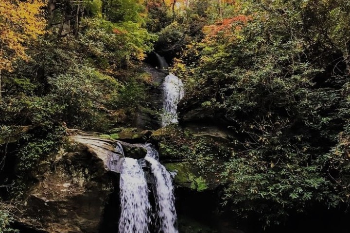 a waterfall in a forest