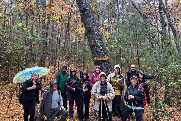 a group of people standing next to a tree