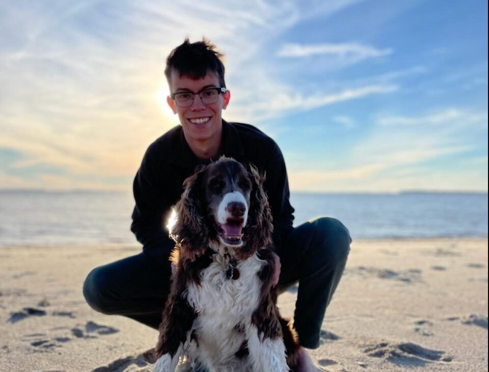 a dog standing on top of a sandy beach