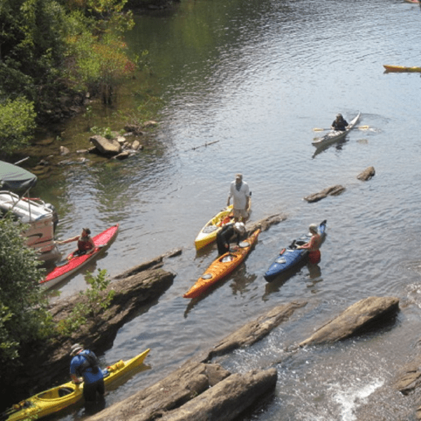 a group of people riding skis on a body of water