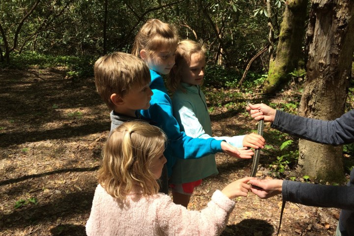 a young boy standing next to a tree