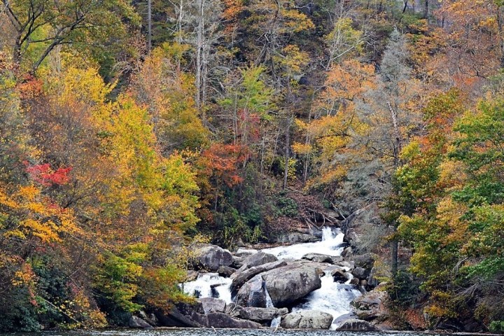 a waterfall in a forest