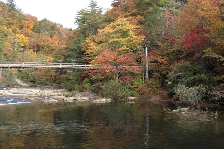 a bridge over a body of water surrounded by trees