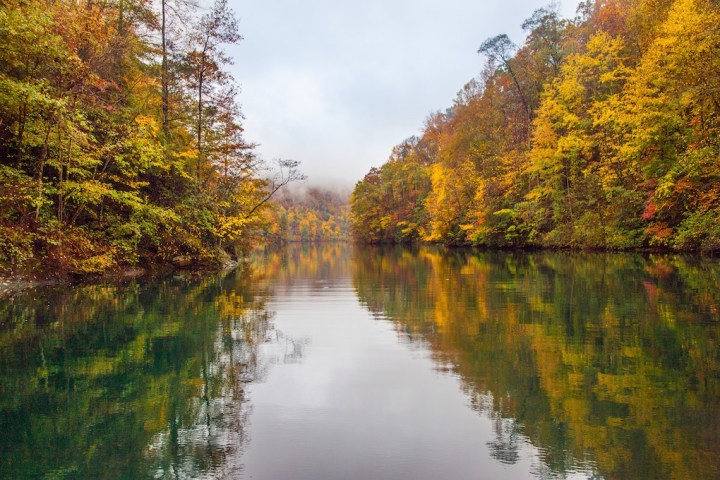 a body of water surrounded by trees