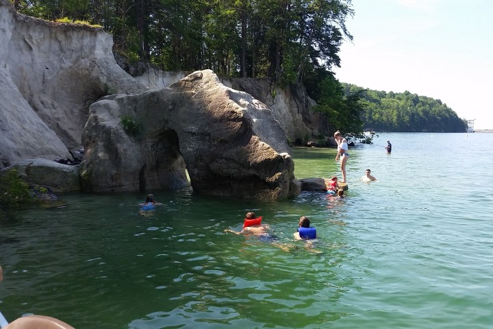 a group of people swimming in the water