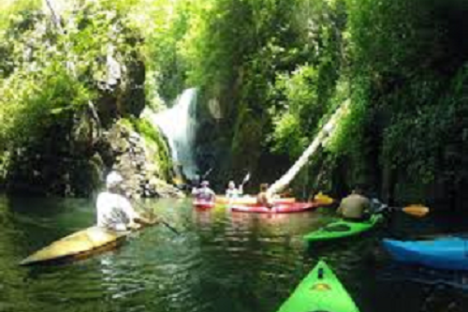 a small boat in a river