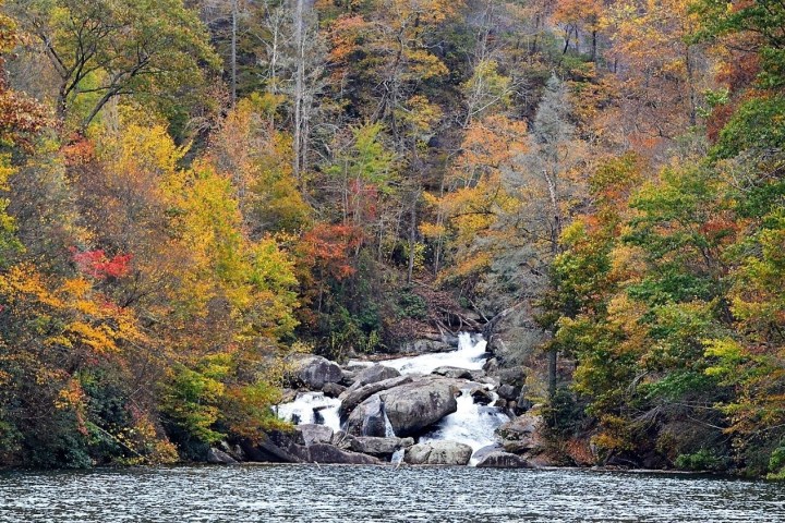 a large waterfall in a forest