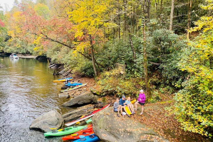 a garden with water in the background