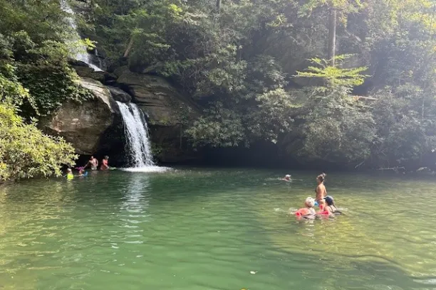 People swimming in a natural pool with a waterfall and green forest background.