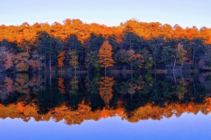 Autumn trees with vibrant orange foliage reflecting on a calm lake under a clear blue sky.