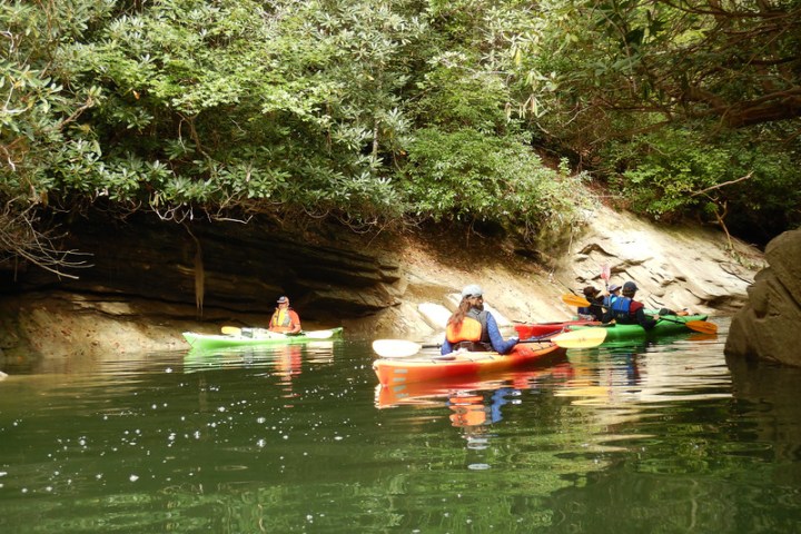 a group of people rowing a boat in the water