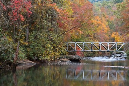 a train crossing a bridge over a river in a forest