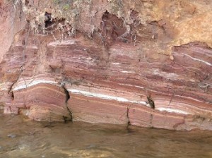 a close up of a rock