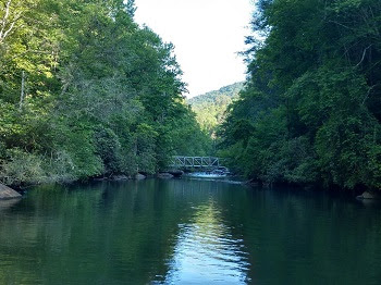 a body of water surrounded by trees