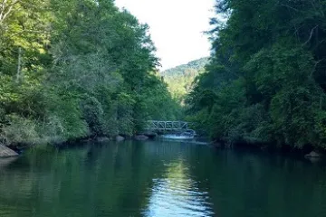 a body of water surrounded by trees