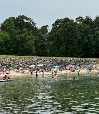 a group of people swimming in a body of water