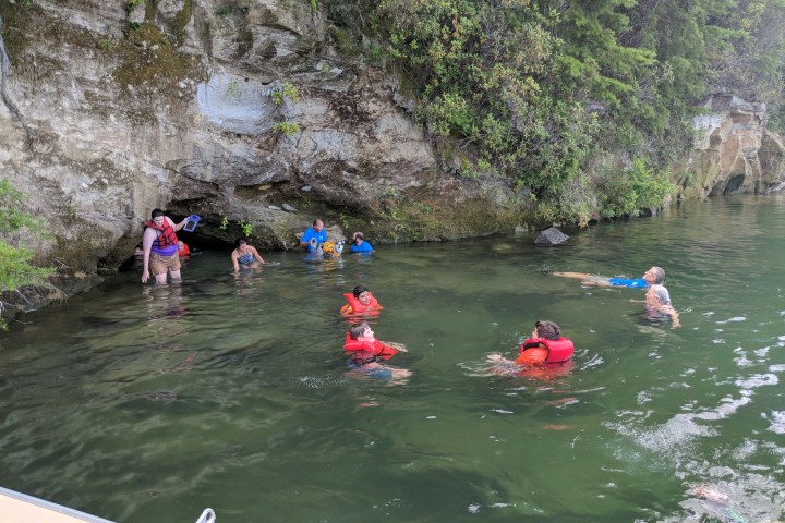a group of people swimming in the water