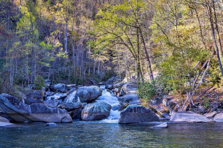 a body of water surrounded by trees