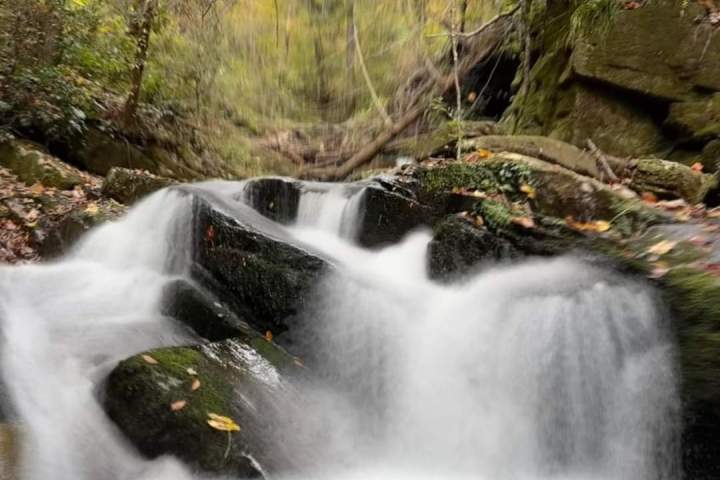 a waterfall with trees in the background