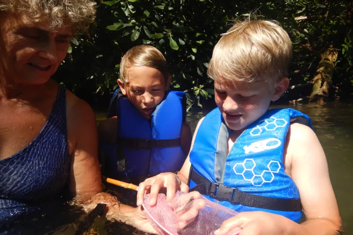 a young boy cutting a cake