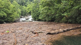 a close up of a wooded area