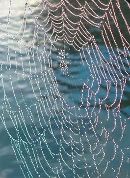 a close up of a web page