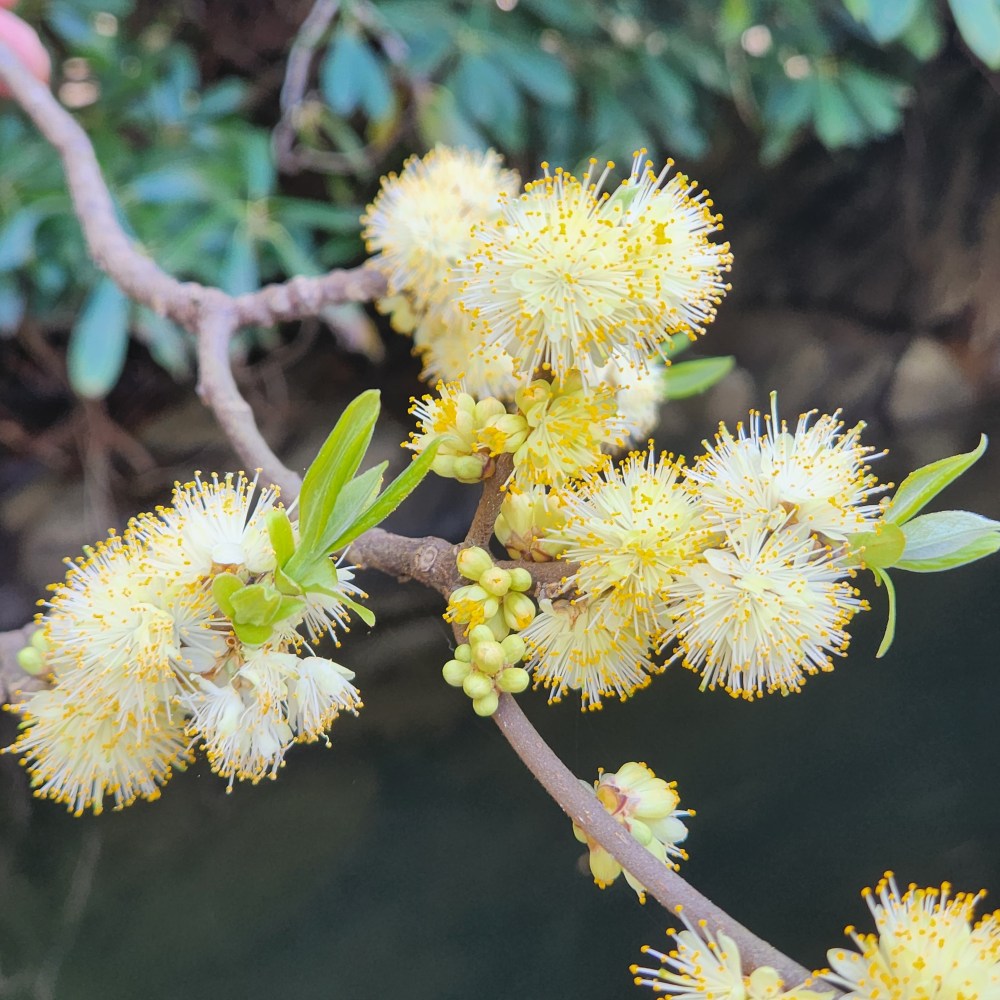 a vase of flowers on a tree