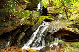 a large waterfall in a forest