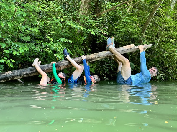 a group of people swimming in a pool of water