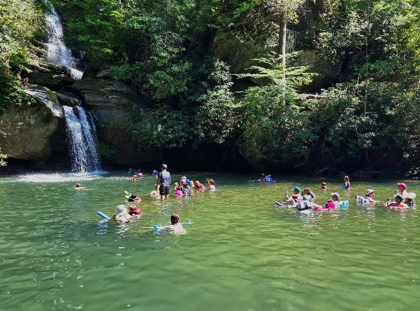 a group of people swimming in a body of water