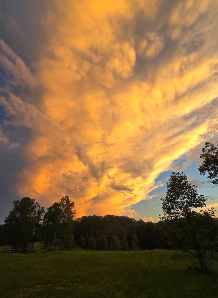 Vibrant orange sunset sky with scattered clouds above a silhouette of trees on a grassy field.