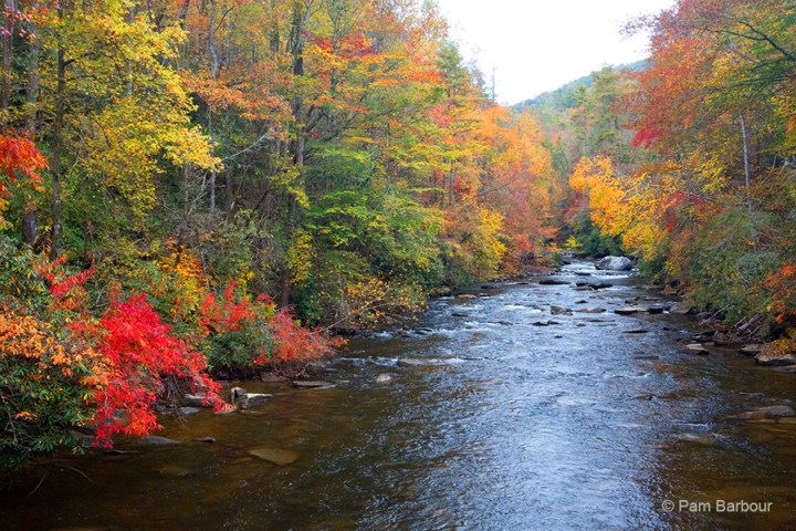 River with vibrant autumn trees on both sides.