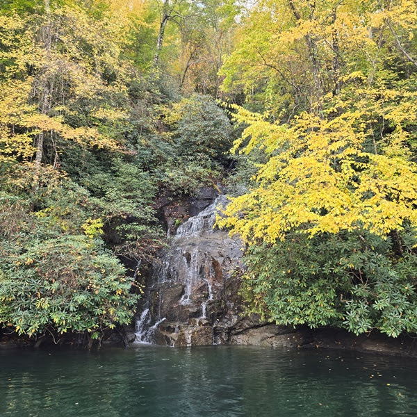 Small waterfall cascades down rocks surrounded by autumn trees and green foliage.