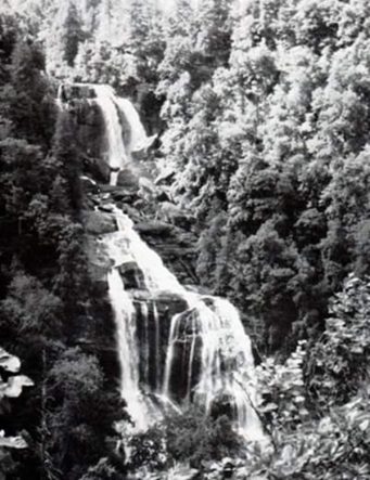 Black and white image of a cascading waterfall surrounded by dense forest.
