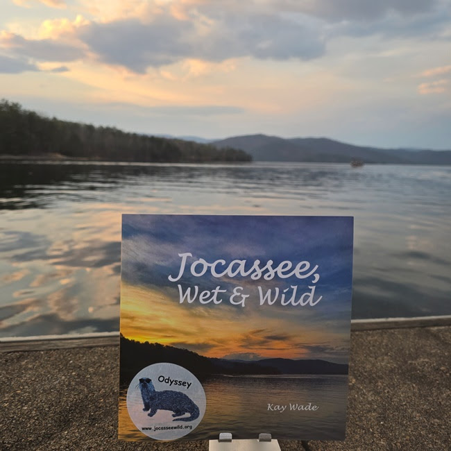Book titled 'Jocassee, Wet & Wild' on a stand at a lakeside during sunset.
