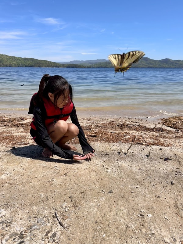 Child crouching on lakeside beach with a butterfly flying nearby.