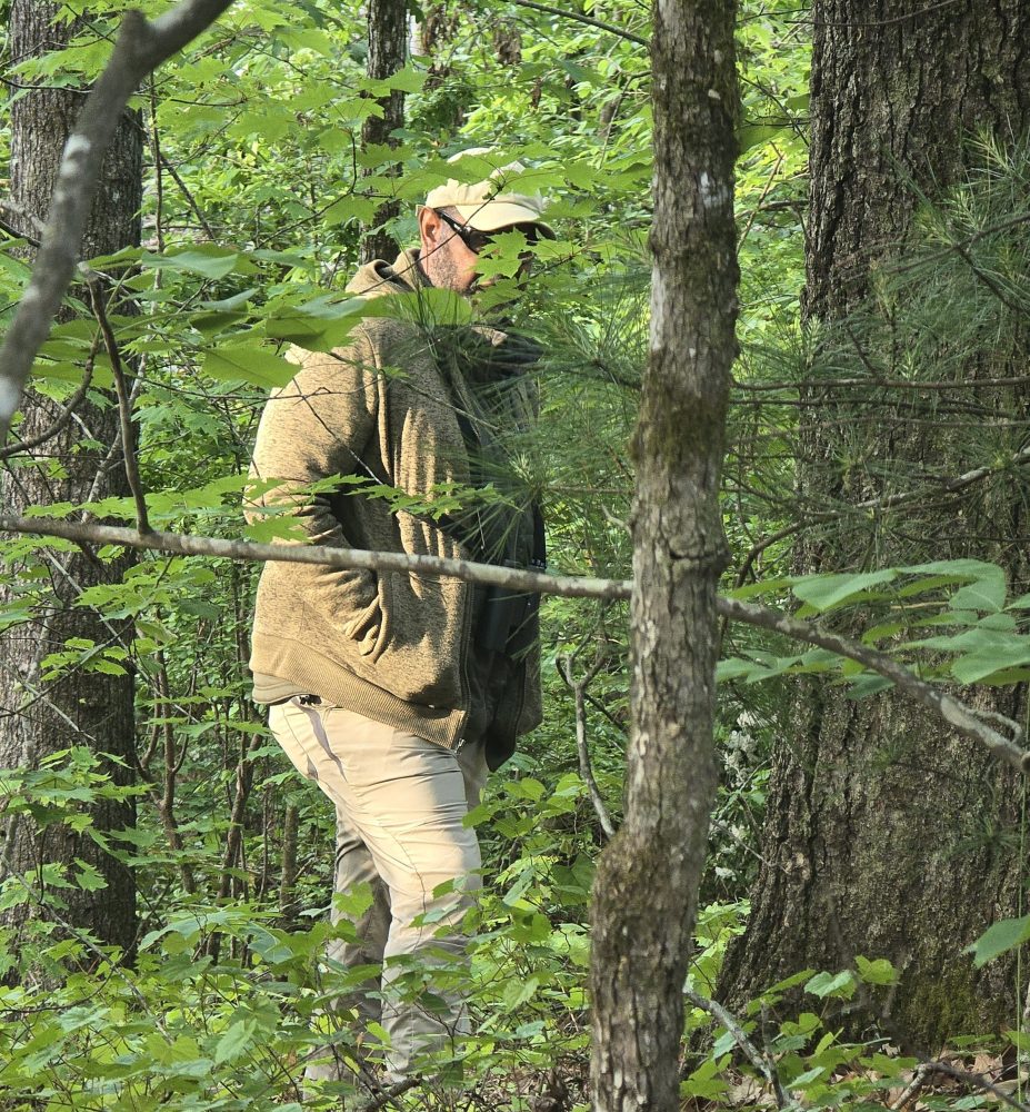 Person in a forest wearing green jacket and cap, partly obscured by trees.