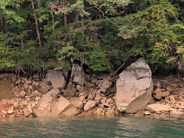 Rocky riverbank with large boulders and dense green trees.