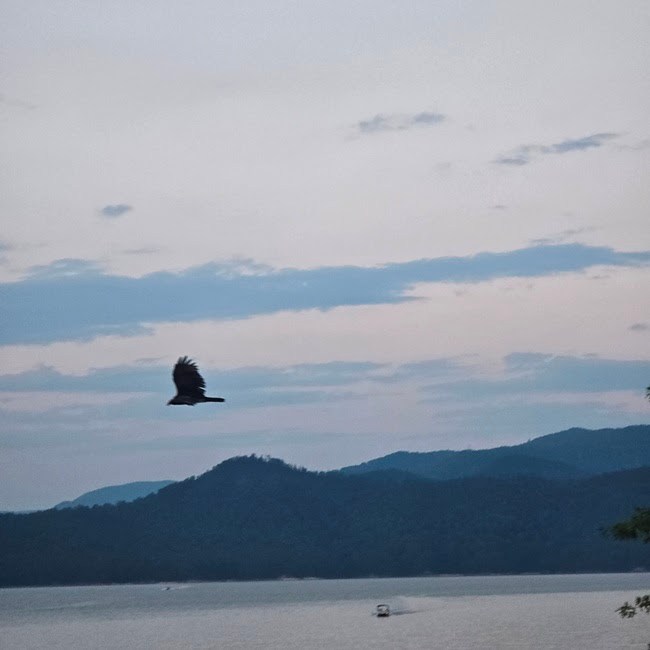 Bird flying over lake with mountains in distance at dusk.