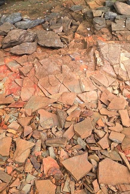 Rough, cracked dry earth with scattered rocks.