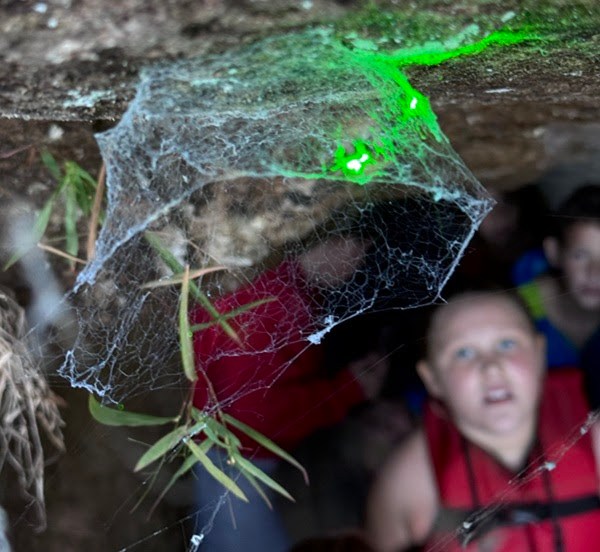 Green glow on spider web with blurred people in cave.